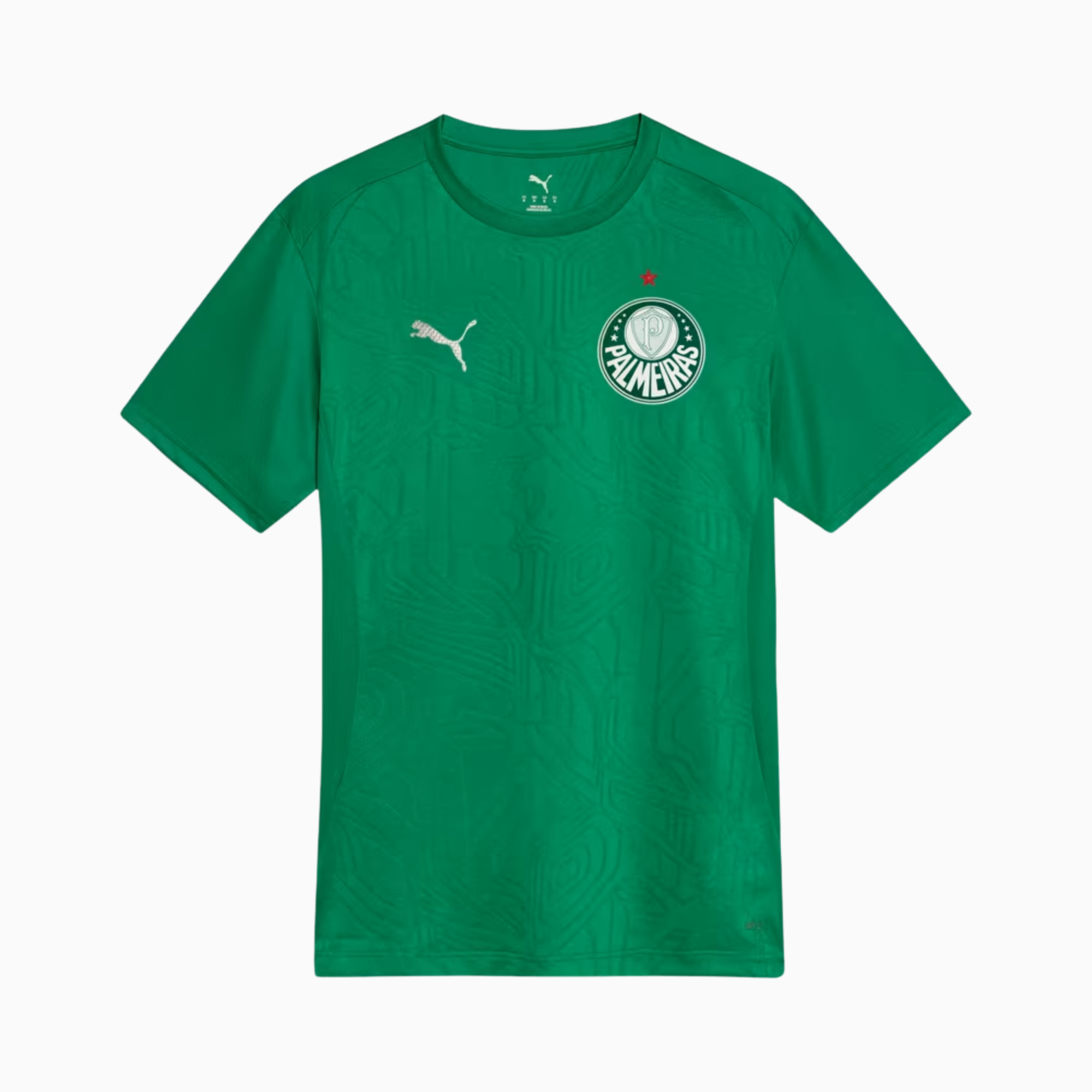 Camisa Palmeiras 2025 – Treino