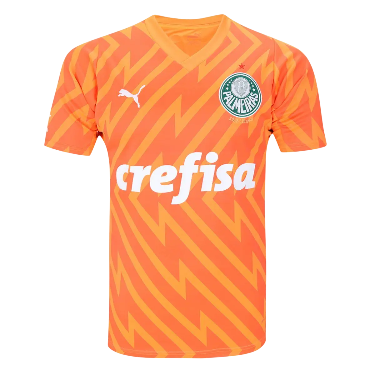 Camisa do Palmeiras 2024/25- GOLEIRO