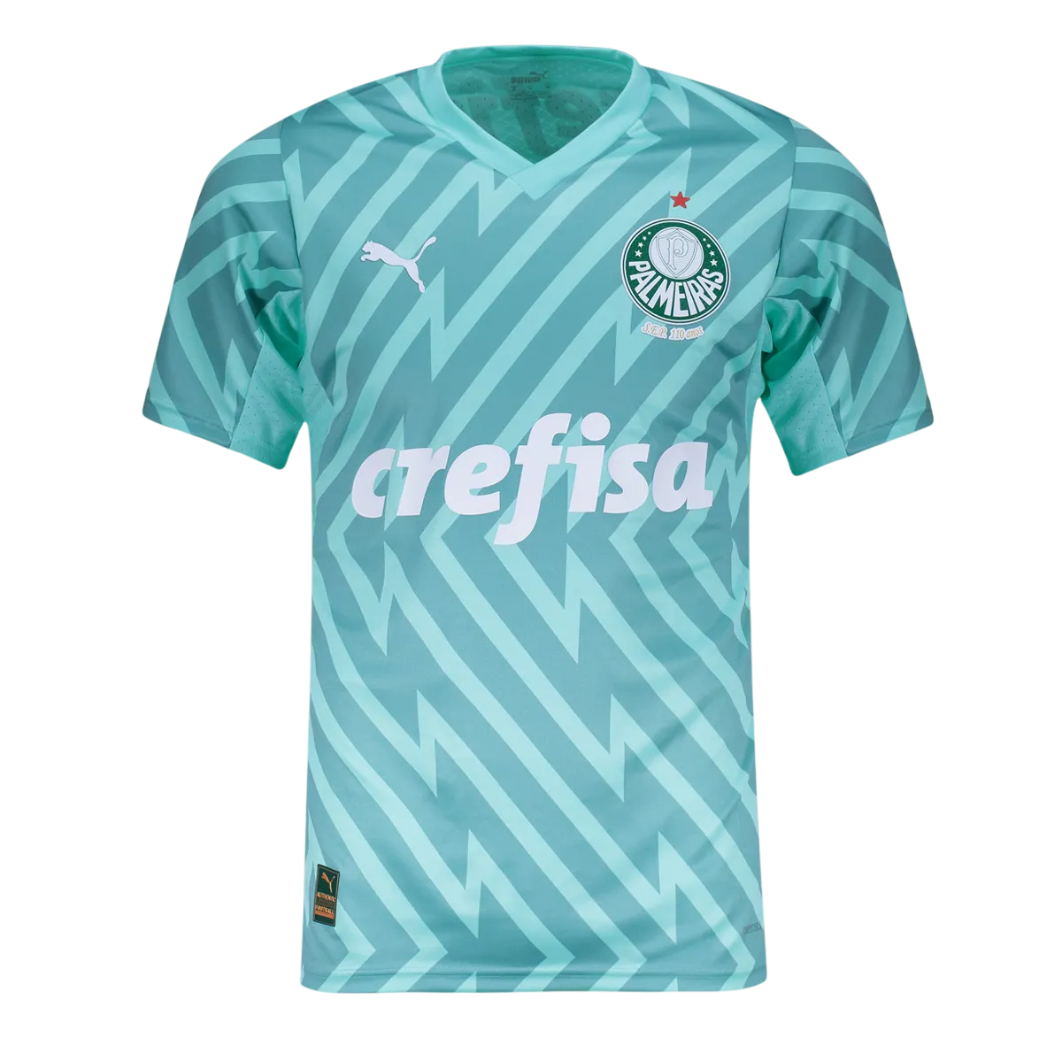 Camisa do Palmeiras 2024/25- GOLEIRO